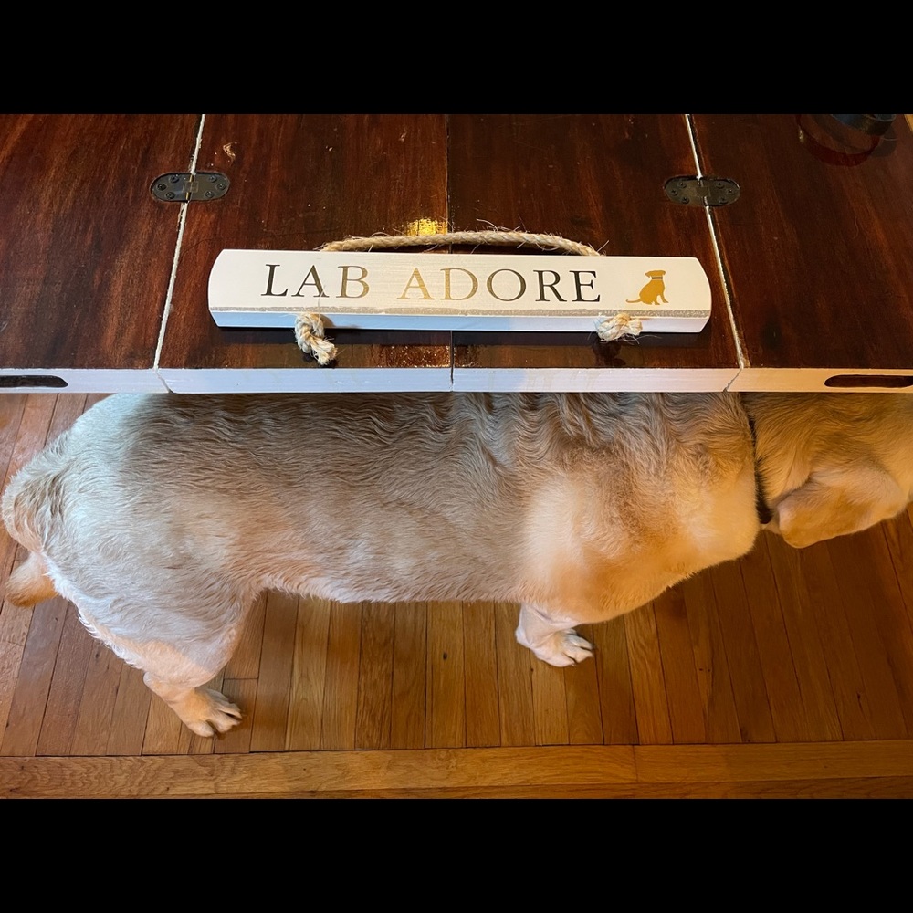 Cape Cod Coastal Wooden Rope Sign